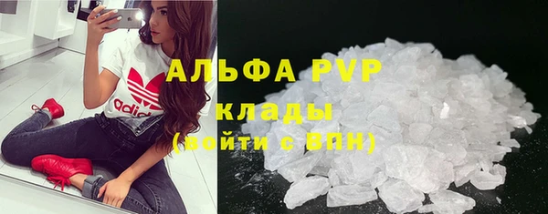 гашик Аркадак