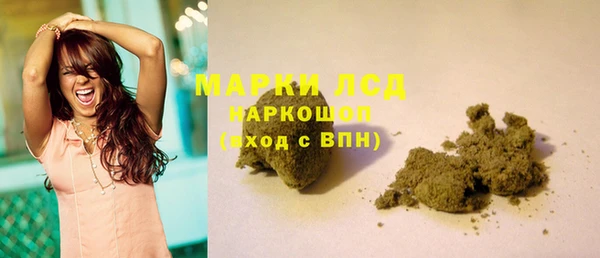 гашик Аркадак