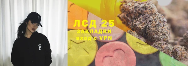 гашик Аркадак