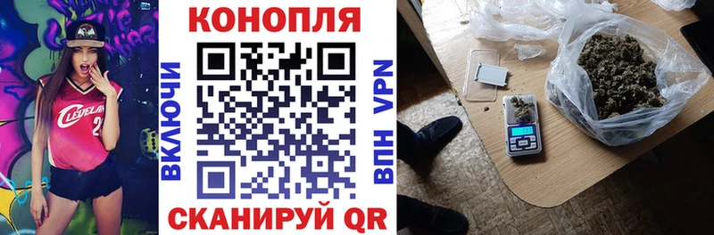 сайты даркнета наркотические препараты  Пролетарск  Канабис VHQ  купить наркотик 
